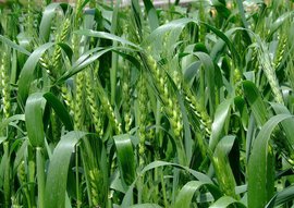 t012aab20b9f9bd89ac.jpg t012aab20b9f9bd89ac.jpg